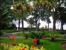 The Presidential Gardens in Funchal, Madeira, Portugal in 2009! Simply beautiful!